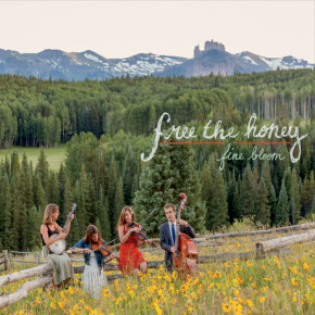 Read more about the article Top Albums and Songs of October 2015 (FOLKDJ-L)